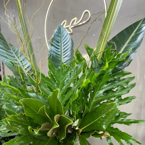 Arreglo de verde helios
